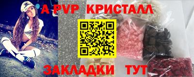 ECSTASY Гай