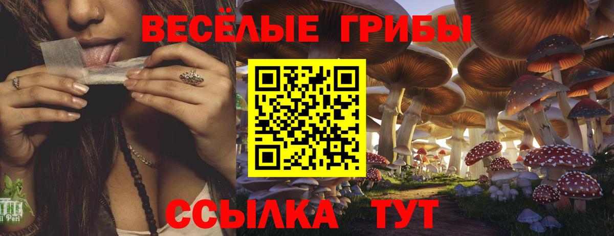 Галлюциногенные грибы Psilocybine cubensis  Вход с VPN  Псилоцибиновые грибы мицелий  Каменск-Уральский 